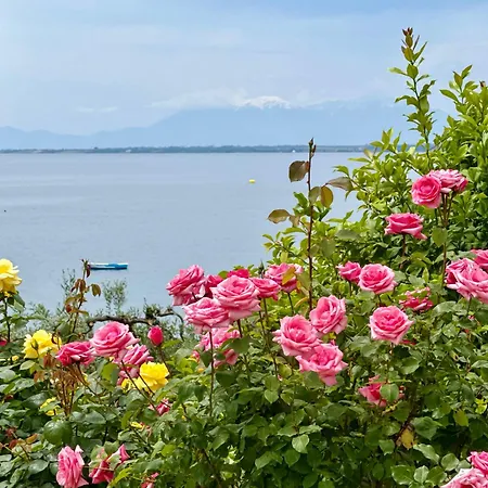 Tatil Evi Stavros & Maria's Haus Gerakini